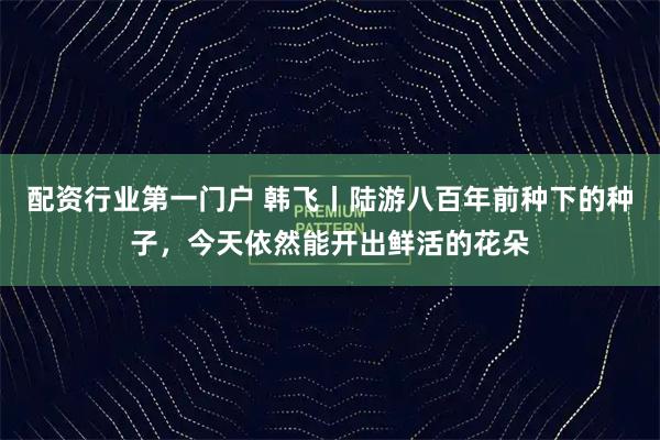 配资行业第一门户 韩飞丨陆游八百年前种下的种子，今天依然能开出鲜活的花朵